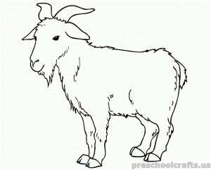 free printable Goat Coloring Pages for preschooler