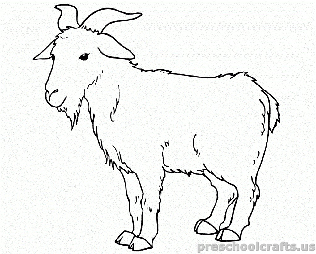 Free Printable Goat Coloring Pages For Preschooler Preschool Crafts