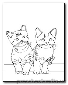 cats colouring