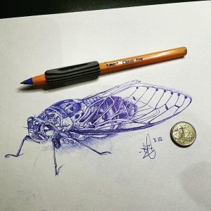 cicada art activities for adult