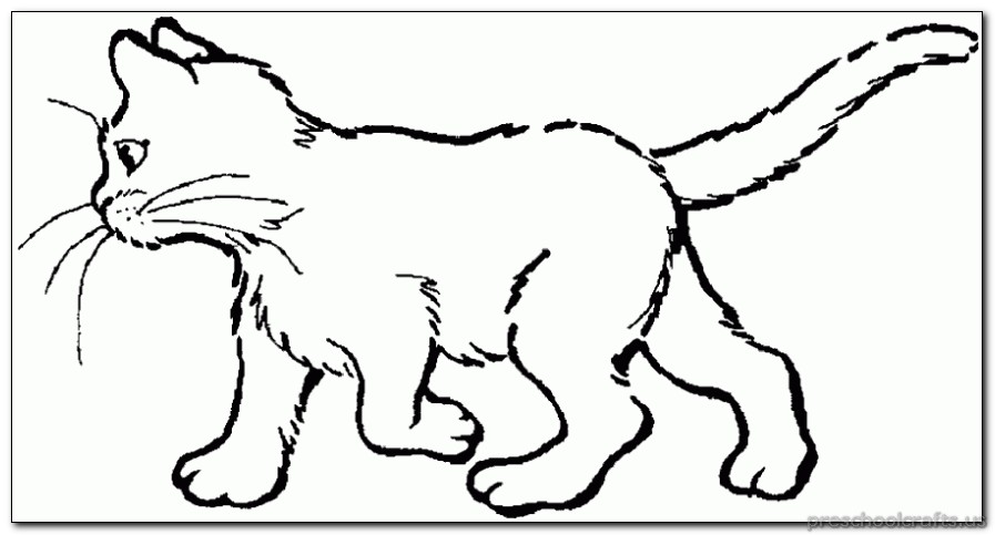 kitten coloring-pages - Preschool Crafts