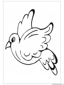 swallow animals coloring pages for preschool