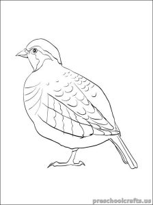 swallow free printable coloring pages for children