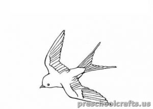 swallow free printable coloring pages for kids
