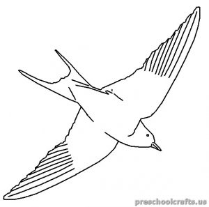 swallow free printable colouring pages for kids