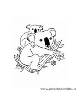 koala-coloring-page-idea