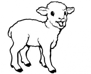 sheep-coloring-page-for-preschool-free-coloring-page-for-kids