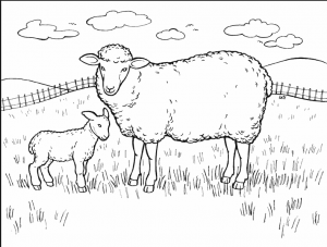 sheep-coloring-pages-for-preschool-free-printable