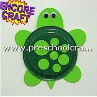 cute-turtle-craft-from-paper-plate-for-preschool