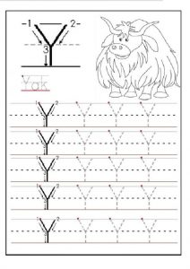 Trace the uppercase letter Y for 1st grade