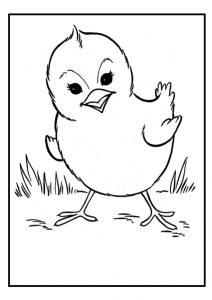 chick coloring pages - chicken colouring page