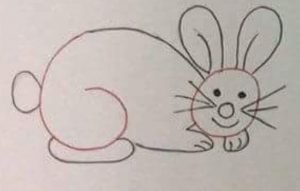 5-easy to draw rabbit worksheets