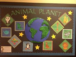 Animals bulletin board