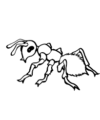 Ant coloring page for preschool