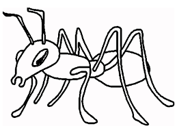 Ant coloring page