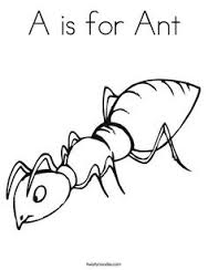 Ant coloring pages