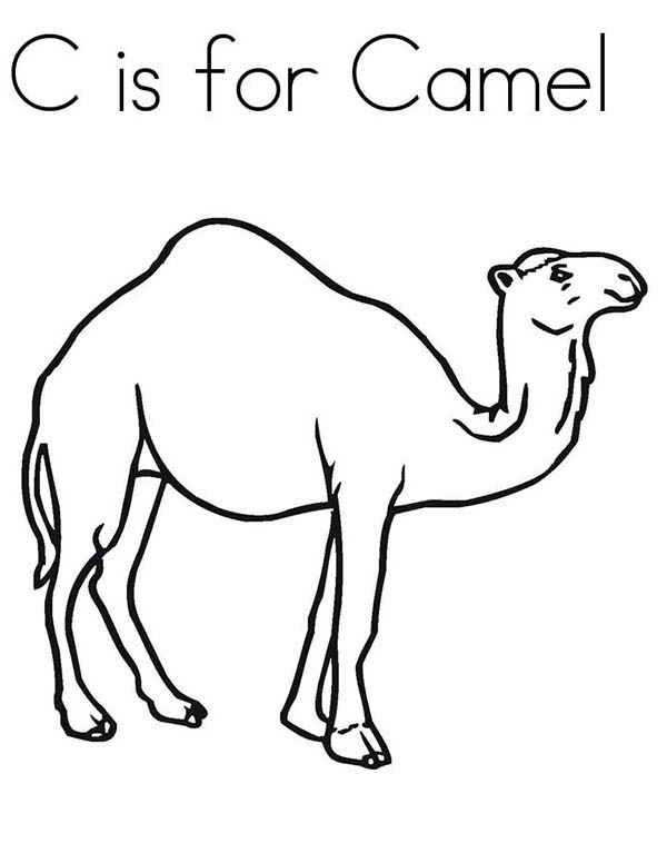 C-is-for-Camel-Coloring-Page