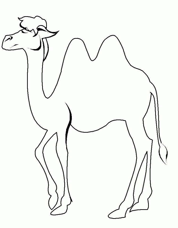 Camel Coloring Page & Sheets