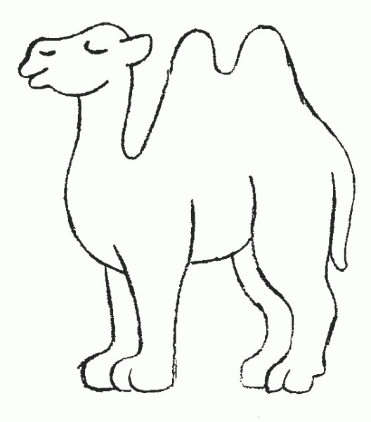 Camel-Coloring-Pages