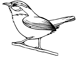 Canary coloring page for preschool