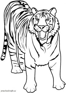 Download free printable Tiger coloring pages ideas for preschool