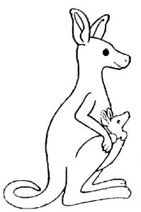 Download free printable kangaroo colouring pages ideas for kids