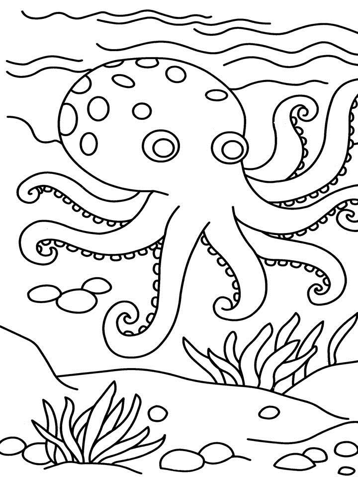 Free-Octopus-Coloring-Pages