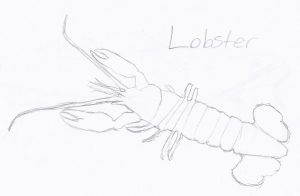 Free lobster coloring pages