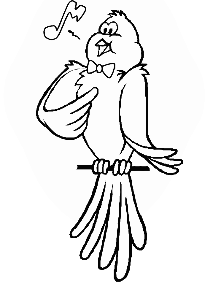 Canary Coloring Pages for Kids