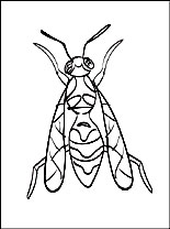 Free printable hornet coloring pages for kids