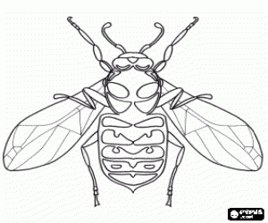 Free printable hornet coloring pages for preschool