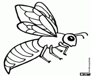 Hornet coloring pages for toddler