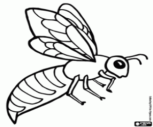 Hornet Coloring Pages for Kids