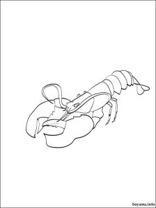 Free printable lobster coloring pages for kids