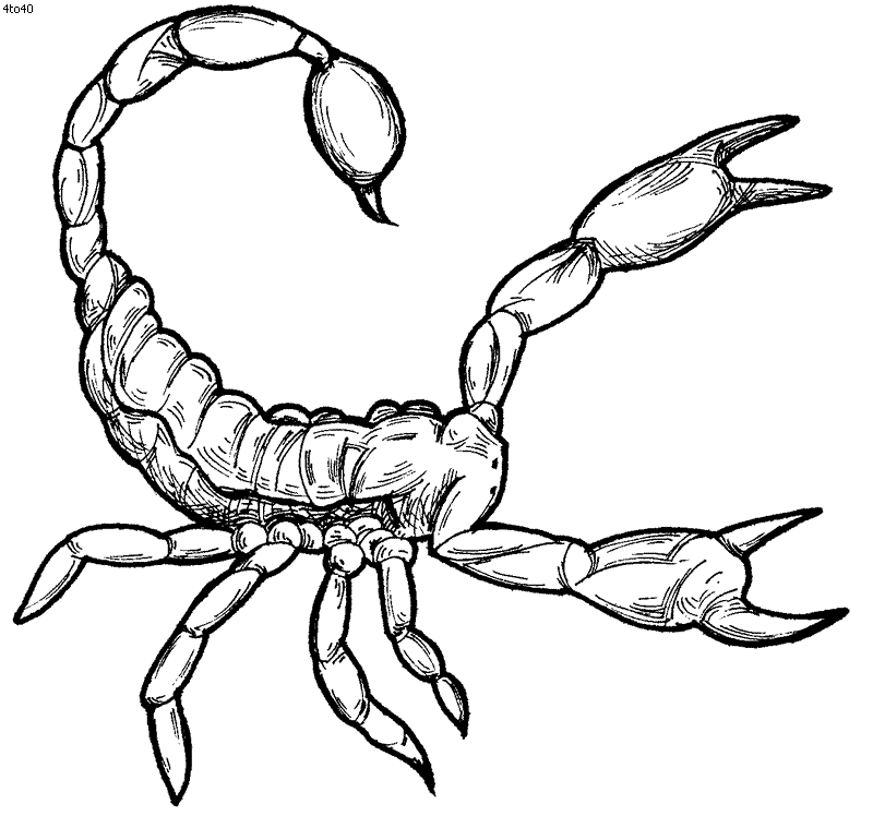 Scorpion-Coloring-Pages-for-kids