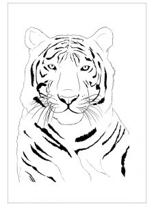 Tiger coloring page for preschool