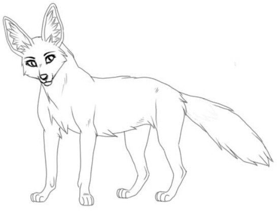 animals-Jackal-printable-coloring-pages-for-preschool