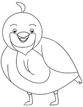 Quail Colouring Pages For Preschool