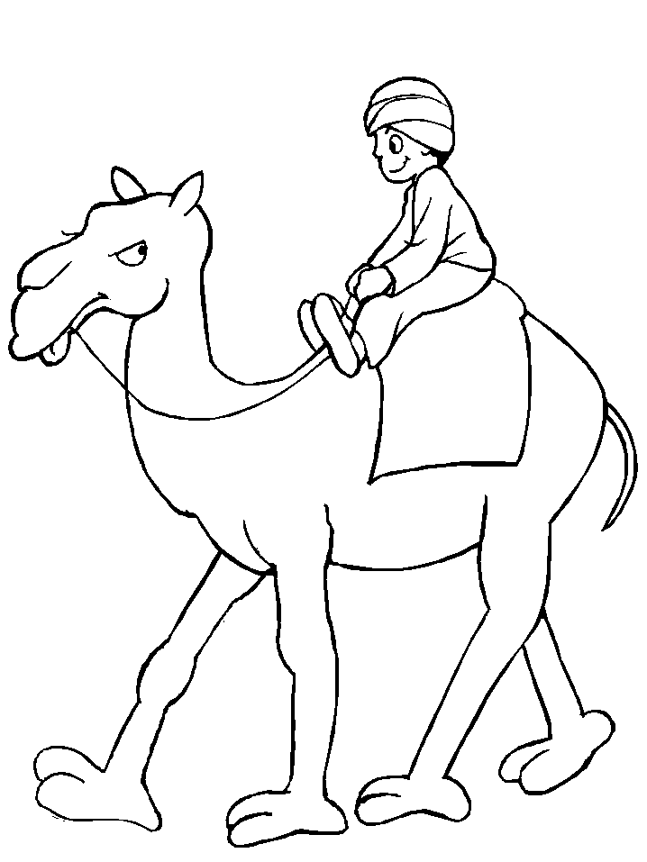 animals-camel-printable-coloring-pages-for-preschool