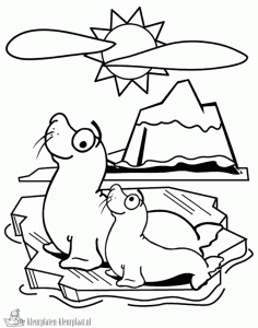 animals-monk seal-printable-coloring-pages-for-preschool