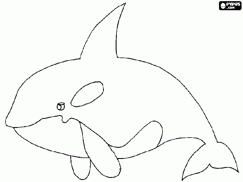 animals-whale-coloring-pages-for-preschool
