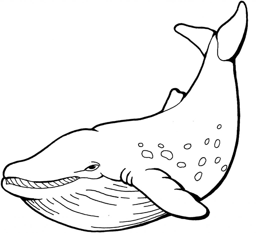 animals-whale-printable-coloring-pages-for-preschool