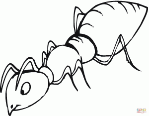 ant-coloring-page