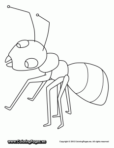 ant-coloring-pages-ant-coloring-pages-for-kids-ant-coloring-pages-for-preschoolers