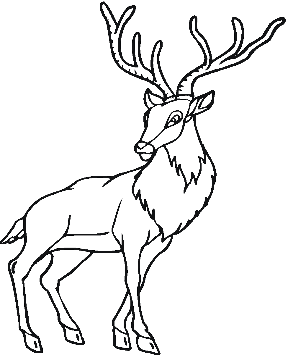 antelope-colouring-pages-page