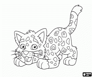 baby-jaguar-diego-coloring-pages