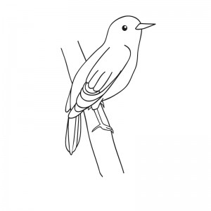 bird coloriage