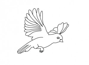 bird coloring page 2