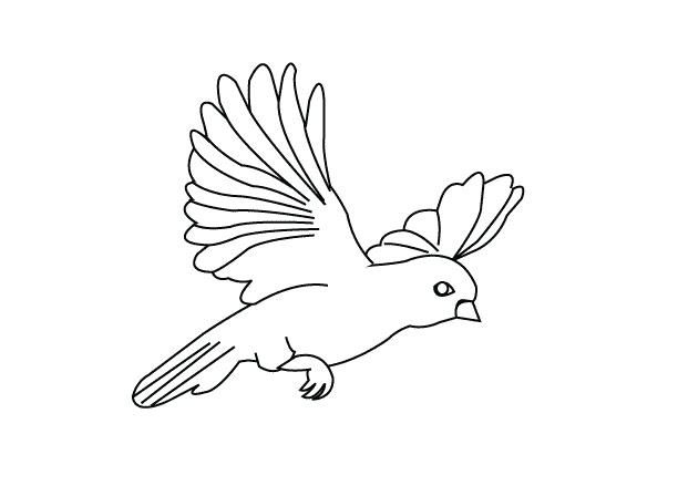 Bird Coloring Pages For Kids - Preschool and Kindergarten