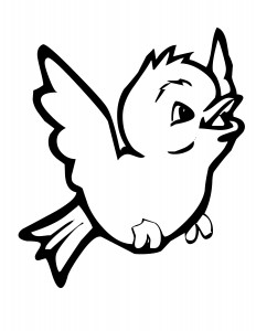 bird -coloring-pages